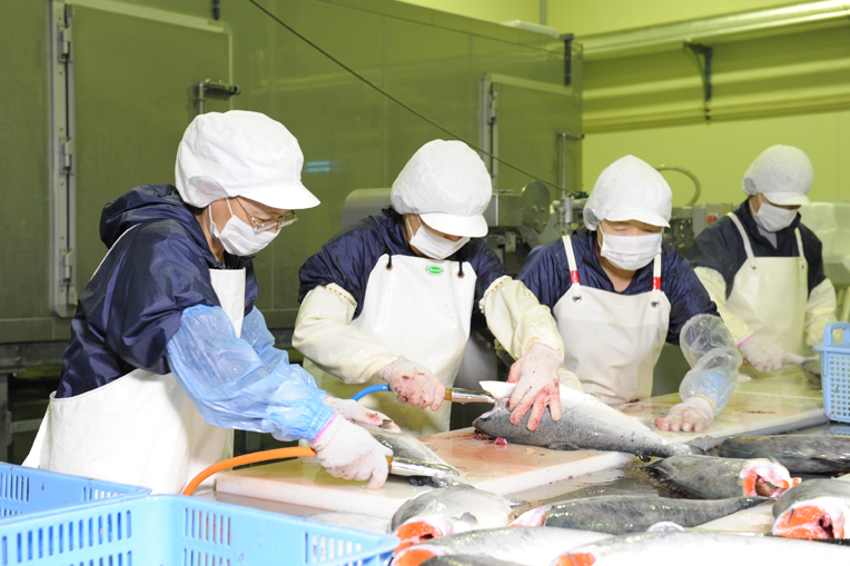 Đơn hàng làm chả cá tại Ibaraki, Nhật Bản 